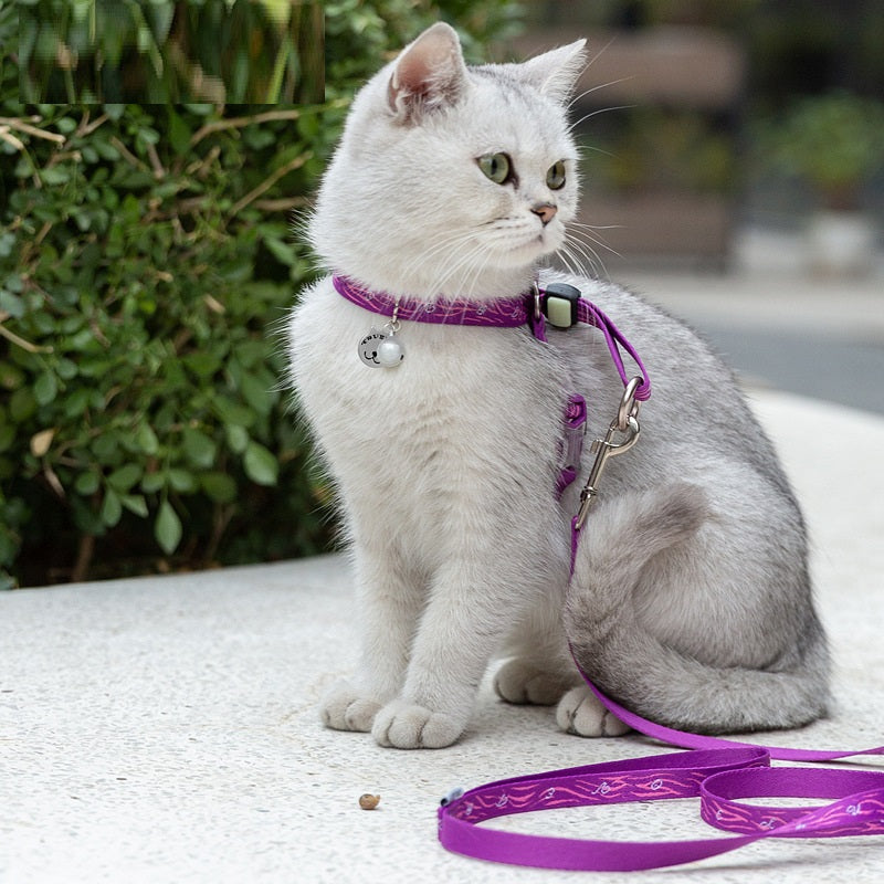Unleash the Fun with Our Pet Bell Chest Strap Harness and Leash Set!
