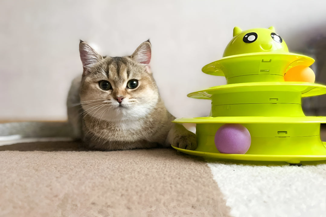 Choose Engaging Toys For Your Furr families