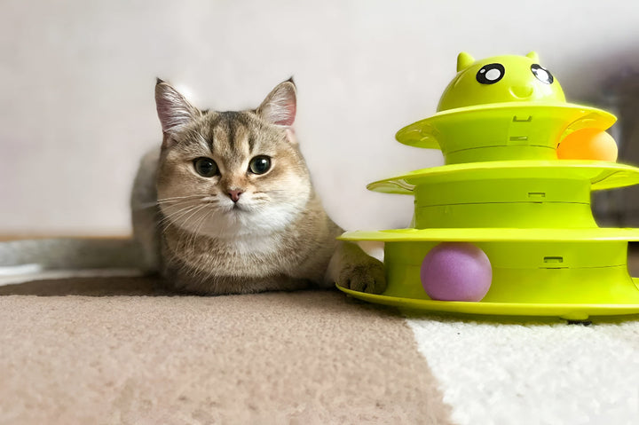 Choose Engaging Toys For Your Furr families