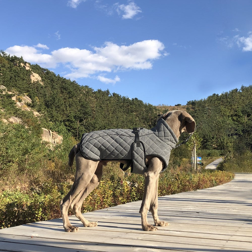 Keep Your Pet Safe and Stylish with Our Tactical Jacket