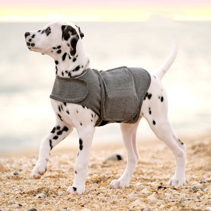 Warm Pet Anxiety Relief Jacket Vest: A Cozy Solution for Your Furry Friend